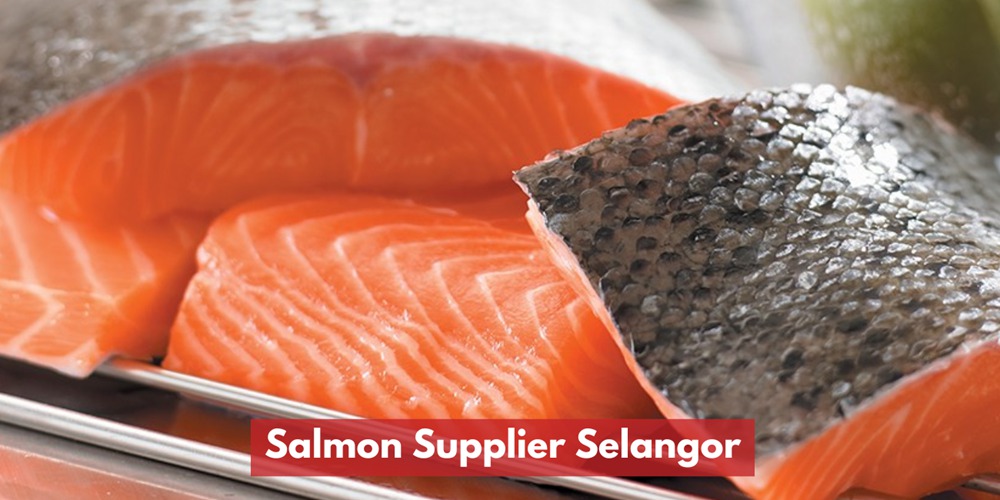 Salmon Supplier Selangor